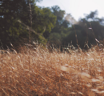 雷恩队本轮比赛遭遇两连败，士气受挫