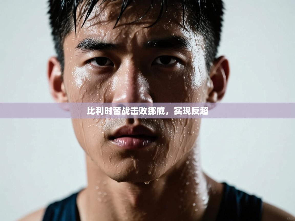 比利时苦战击败挪威，实现反超  第2张