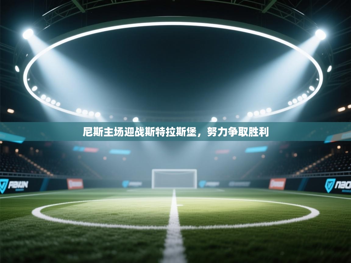 尼斯主场迎战斯特拉斯堡，努力争取胜利  第2张