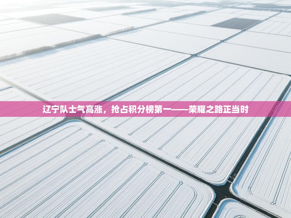 辽宁队士气高涨,抢占积分榜第一——荣耀之路正当时 第1张