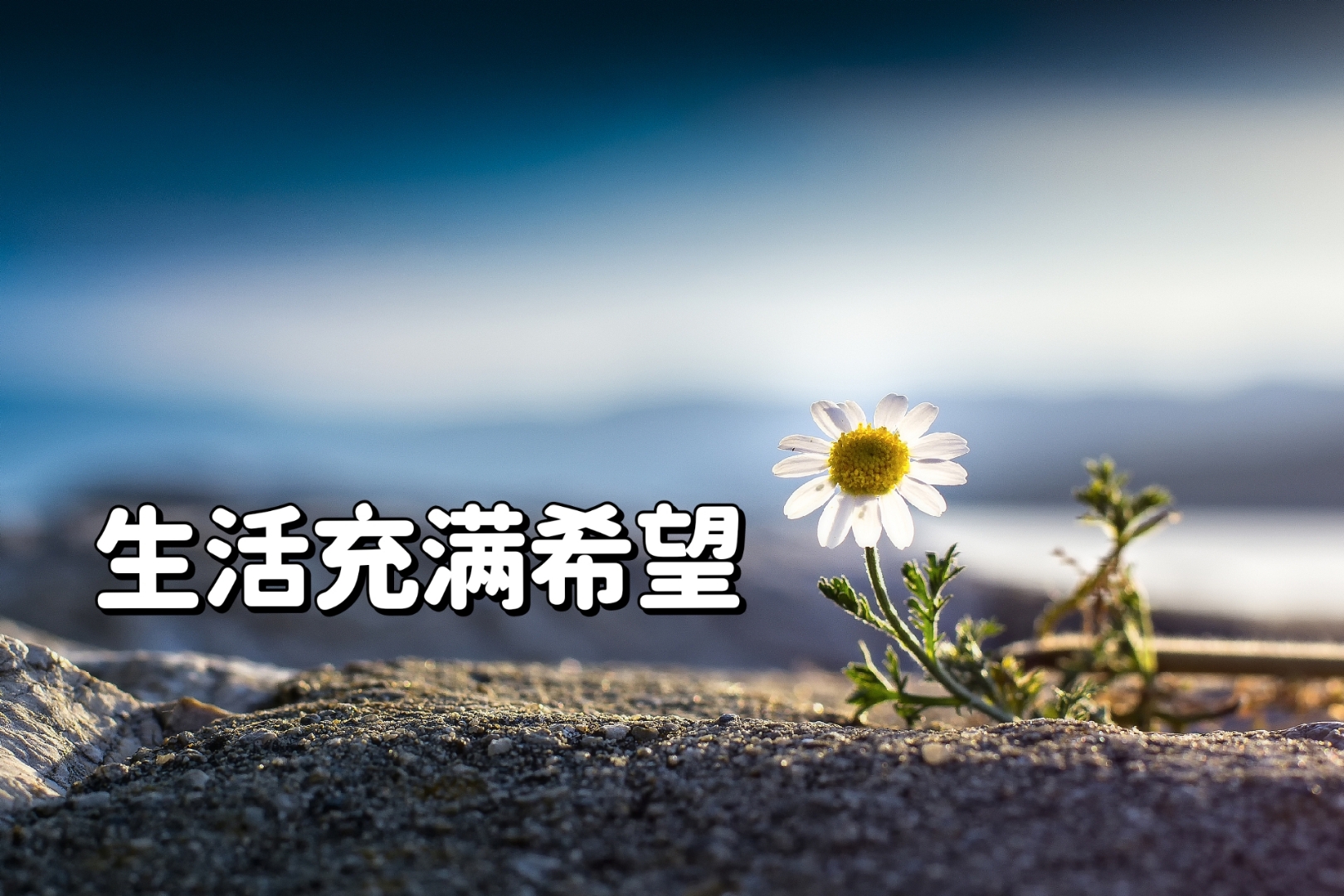 九游娱乐-包含“最没希望的一年”，年底的S赛会是LPL的救命稻草吗？的词条